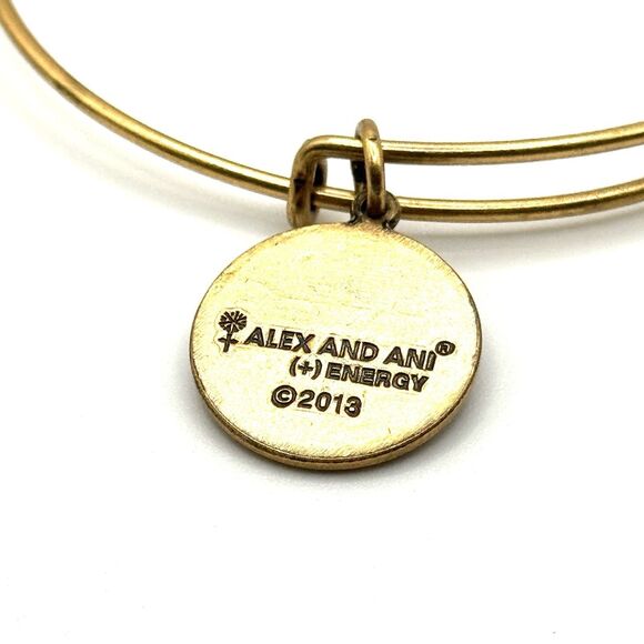 ALEX AND ANI Adjustable Copper Path of Life Charm Bracelet in Rafaelian Gold - Picture 4 of 4